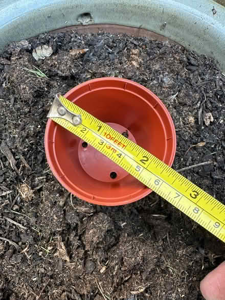 Photo of free Seed pots (Buckhurst Hill IG9) #4