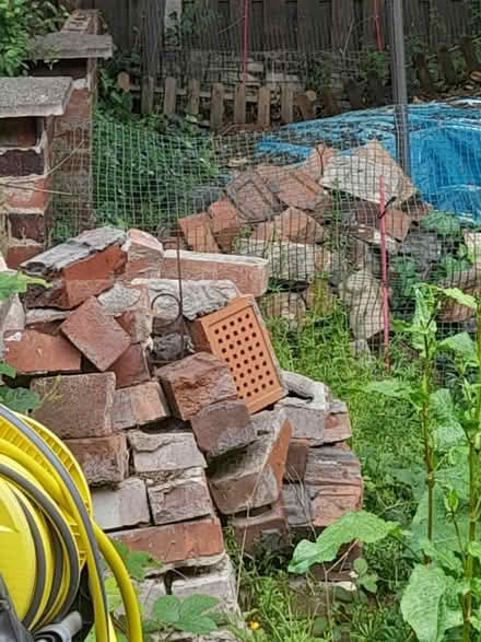 Photo of free Used bricks S5 (Firth Park) (Firth park S5) #1