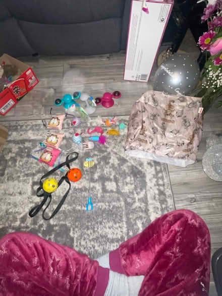 Photo of free Cat/kitten toys (Felling NE10) #1