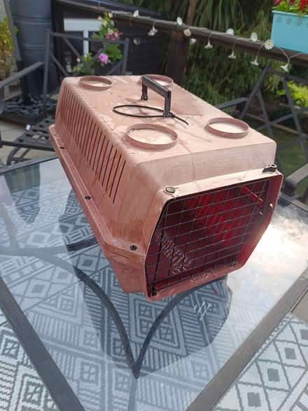 Photo of free Cat Basket ... Easily fits two (Branksome Poole) #1