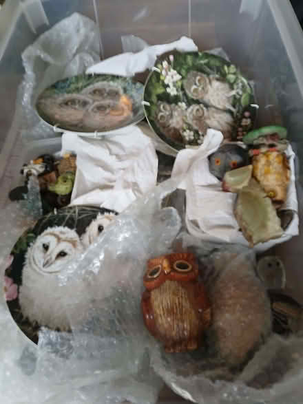 Photo of free Owl collection (knick knacks) (Kettering NN15) #1