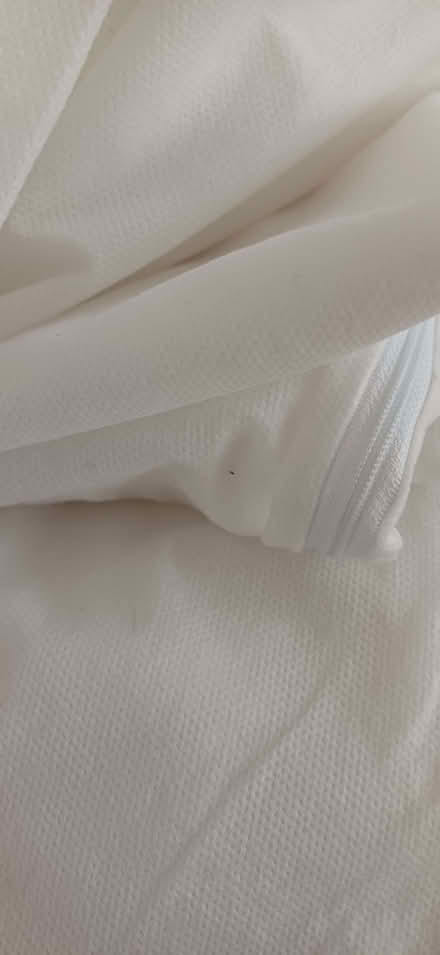 Photo of free Double quilt protector (Winkwell HP1) #2