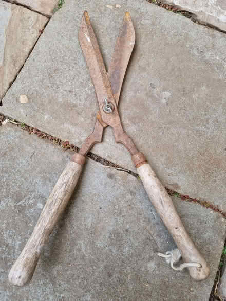 Photo of free Another pair of shears (Odd Down) #1