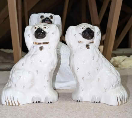 Photo of free Wally dugs x 3 (AB22) #4