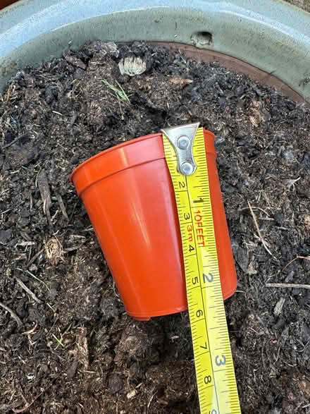 Photo of free Seed pots (Buckhurst Hill IG9) #3