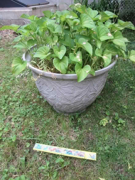 Photo of free flower pot 13 (North Cambridge) #1