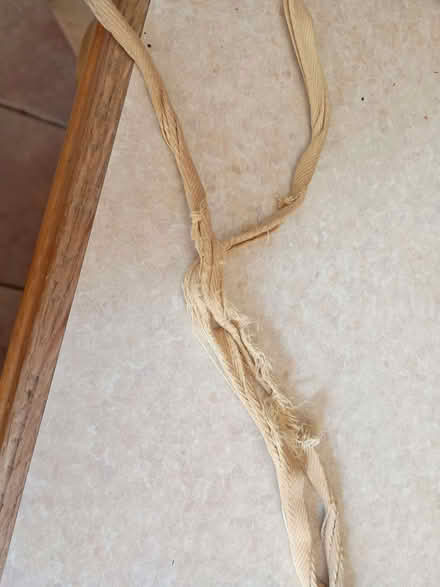 Photo of free Plastic coated apron. (Bromham MK43) #3
