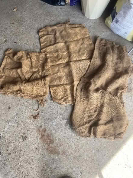 Photo of free Hessian sacks (Swanley BR8) #1