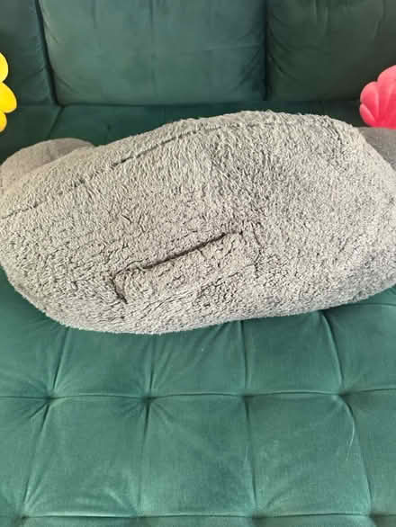 Photo of free Grey Teddy sofa pillow (Reddish SK5) #2
