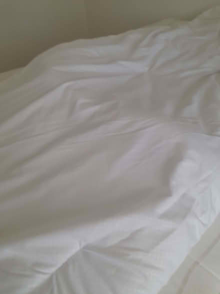 Photo of free Double quilt (Elmhurst WS13) #2