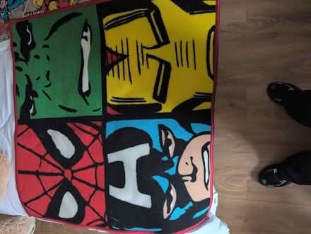 Photo of free Marvel rug and canvas (CM18) #1