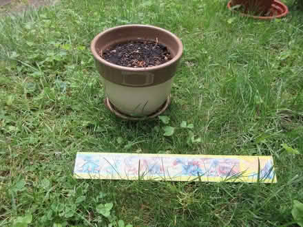 Photo of free flower pot 18 (North Cambridge) #1