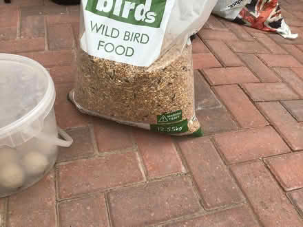 Photo of free Wild Bird Food approx 8 kg (Chickerell, Weymouth) #2