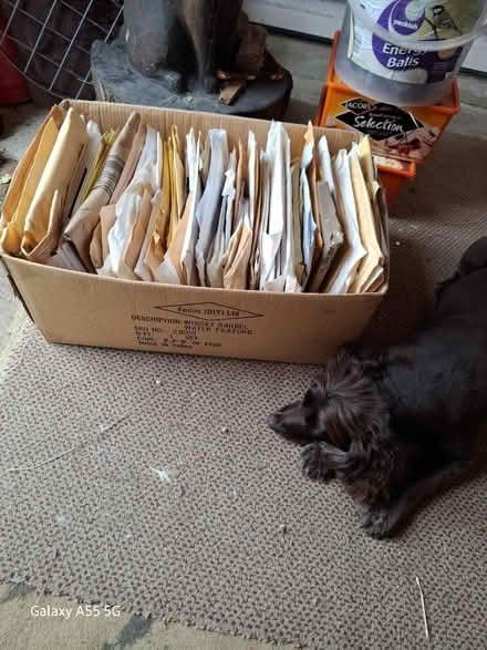 Photo of free A box of assorted padded bags (Threemilestone Truro) #1