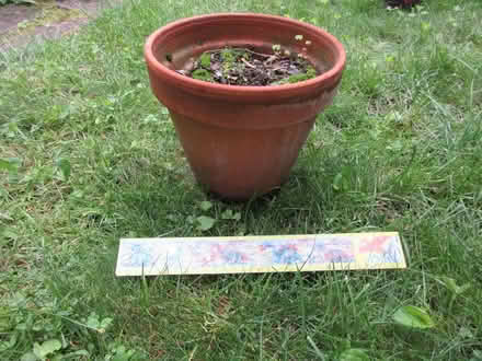 Photo of free flower pots 1+2 (North Cambridge) #2