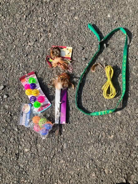 Photo of free Cat toys and leashes (Horsham) #1
