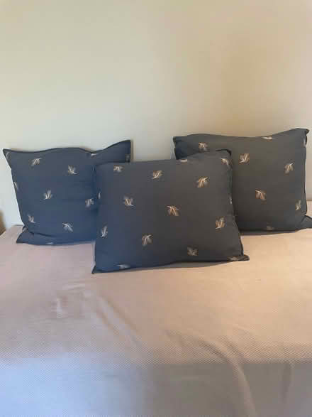 Photo of free Scatter cushions in blue and grey for a sofa (Richmond TW9) #1