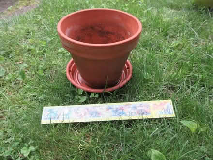 Photo of free flower pots 1+2 (North Cambridge) #1