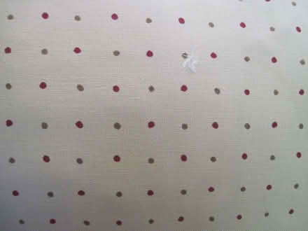 Photo of free Sofa cushions (Cambuskenneth FK9) #2