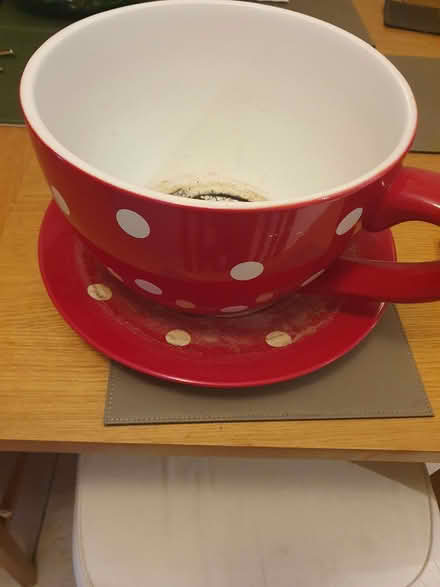Photo of free Cup-shaped pot plant holder and sauer (Tilehurst RG31) #1