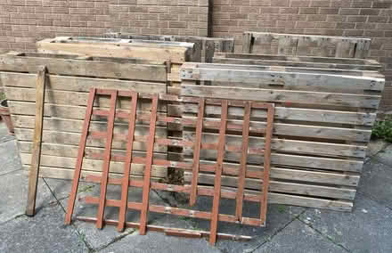 Photo of free 7 Wooden Pallets & Wooden Trellis / Batten (Noctorum CH43) #3