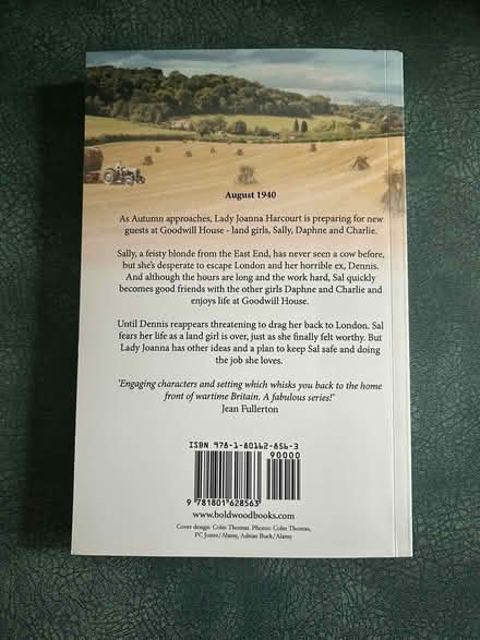 Photo of free Last Chance - Book (Erin Mills) #2