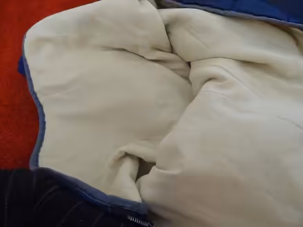 Photo of free 2 single sleeping bags (GU21) #2