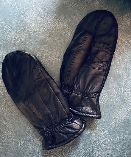 Photo of free Small Leather Gloves (Erin Mills) #1