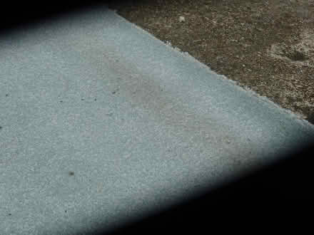 Photo of free Carpet offcut (GU21) #3