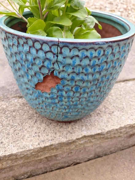 Photo of free Turquoise plant pot (Sheffield 12 S12) #3