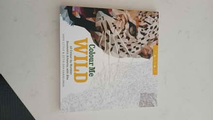 Photo of free Book of colour-by-number geometric wild animals. (Fulham Palace Rd SW6) #1