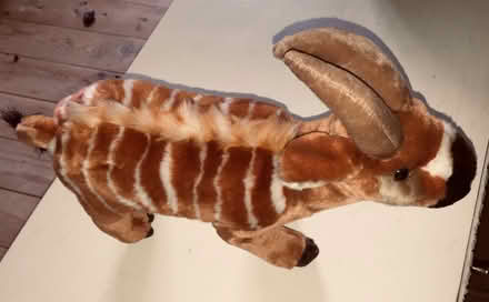 Photo of free Soft Toy Impalla (Liphook) #1
