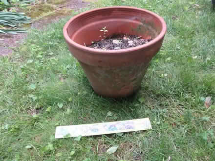 Photo of free flower pot 11 (North Cambridge) #1