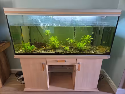 Photo of free Fish tank with everything included (RG) #1
