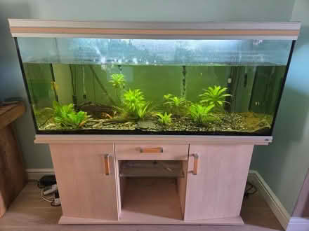 Photo of free Fish tank with everything included (RG) #1