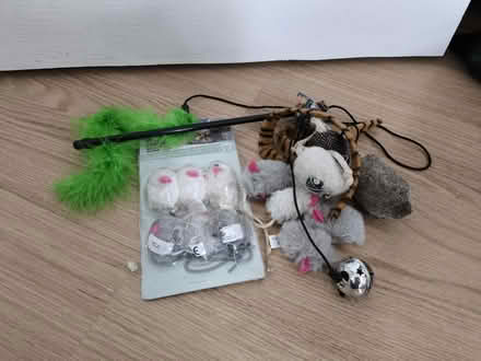 Photo of free Cat toys, mice (Se1 8qt) #1