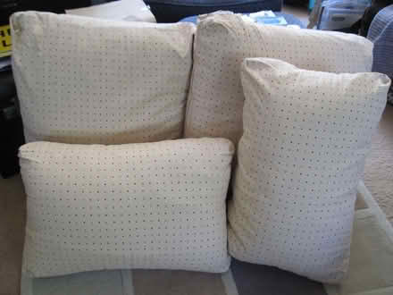 Photo of free Sofa cushions (Cambuskenneth FK9) #1