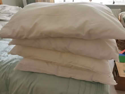 Photo of free 4 standard pillows used (Brandwood End B14) #1