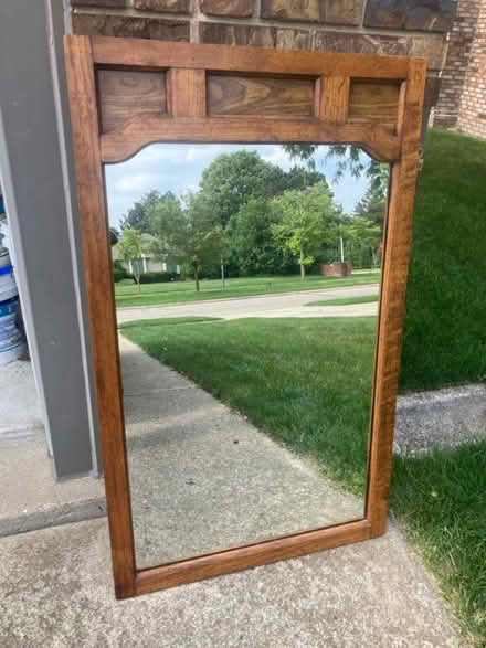 Photo of free Large mirror (Livonia) #1