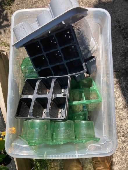 Photo of free Plant pots for seeds / potting on (Ifton Heath SY11) #1