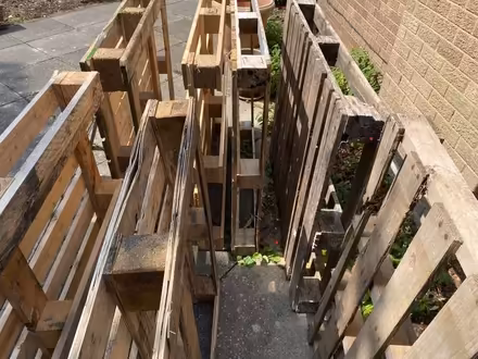 Photo of free 7 Wooden Pallets & Wooden Trellis / Batten (Noctorum CH43) #1