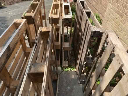 Photo of free 7 Wooden Pallets & Wooden Trellis / Batten (Noctorum CH43) #1