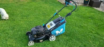 Photo of free Petrol lawn mower (Horndon On The Hill SS17) #1