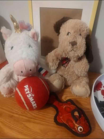 Photo of free Dog Toys (East Harlem) #1