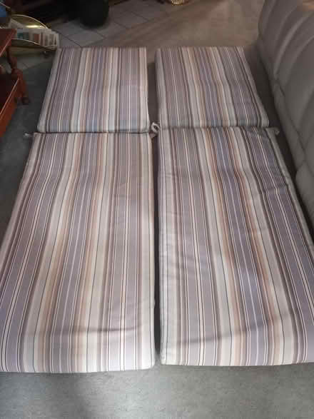 Photo of free Lounge chair cushions (Barrhaven) #1