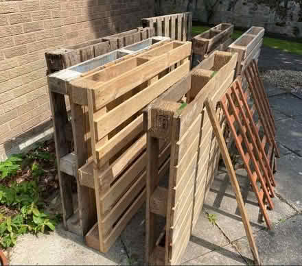Photo of free 7 Wooden Pallets & Wooden Trellis / Batten (Noctorum CH43) #4