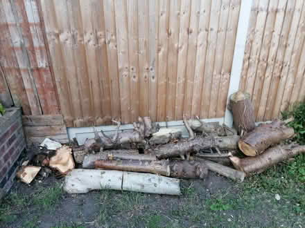 Photo of free Wood from trees (Chadwell Heath RM6) #2