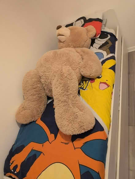 Photo of free Giant teddy bear (CM18) #2