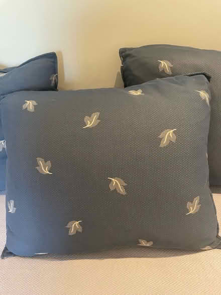 Photo of free Scatter cushions in blue and grey for a sofa (Richmond TW9) #2