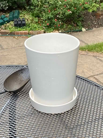 Photo of free Plant pot (Swanley BR8) #2